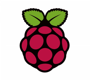 Raspberry Pi Logo