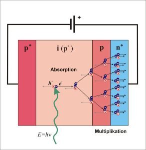 APD circuit diagram