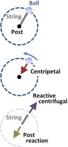 examples of centrifugal force