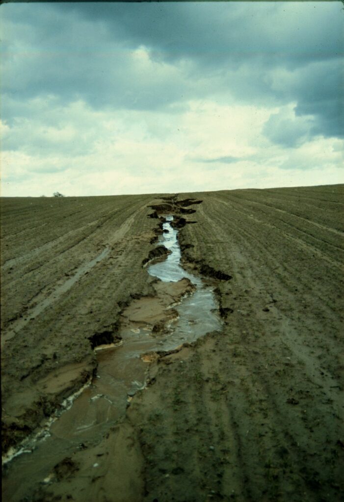 1200px Eroding rill in field in eastern Germany