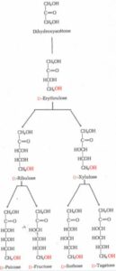 Classification of ketoses