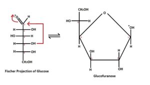 Glucofuranose formation