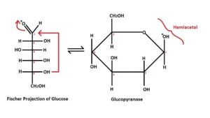 Glucopyranose formation