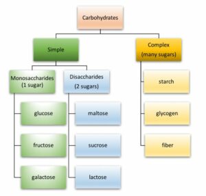 carbohydrates