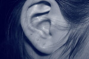 human ear