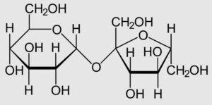 sucrose