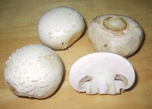 ChampignonMushroom 1