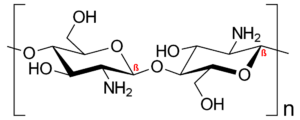 Chitosan chair