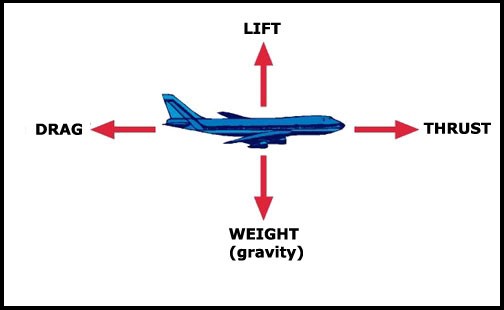 Net Force on the Airplane 