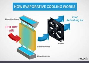 evaporative 1