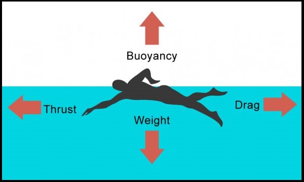 Net Force while Swimming 