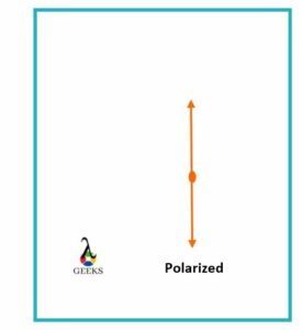 polarization types