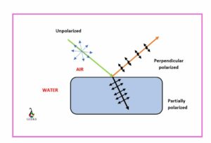 polarization types