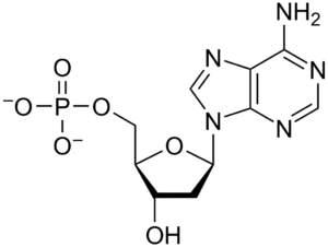 1024px DAMP chemical structure.svg