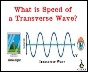 What is the Speed of a Transverse Wave