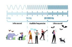 Sound Wave Examples of Human Voice