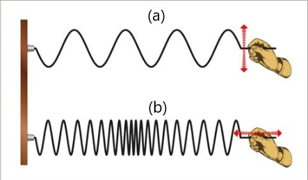 How to Find Wavelength of Transverse Wave: Problems, Examples and Facts ...