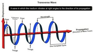 Speed of a Transverse Wave