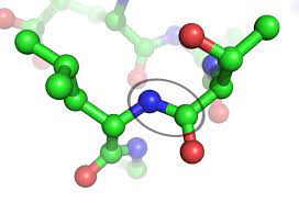 peptide bond formation