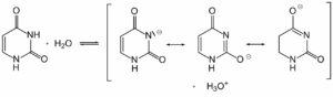 Uracil acid