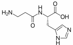 carnosine