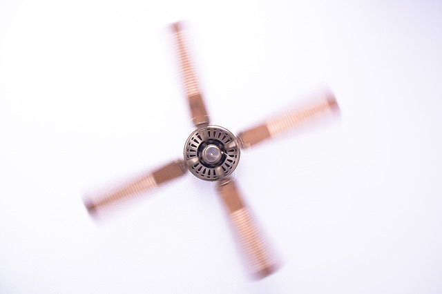 ceiling fan g3591a3115 640