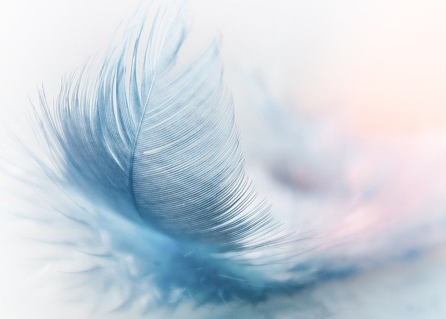 feather ga5df5fe67 640