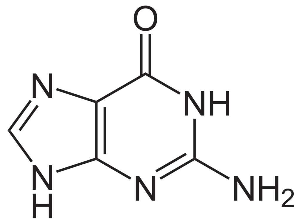 gg 2