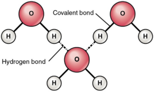 intermolecular forces examples