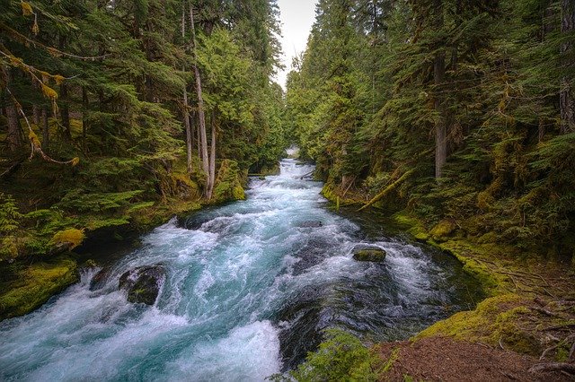 mckenzie river g0bf264461 640