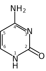 is cytosine a pyrimidine
