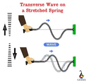 Speed of a Transverse Wave on a Stretched Spring