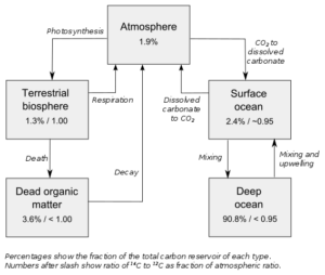 radioactive isotopes examples