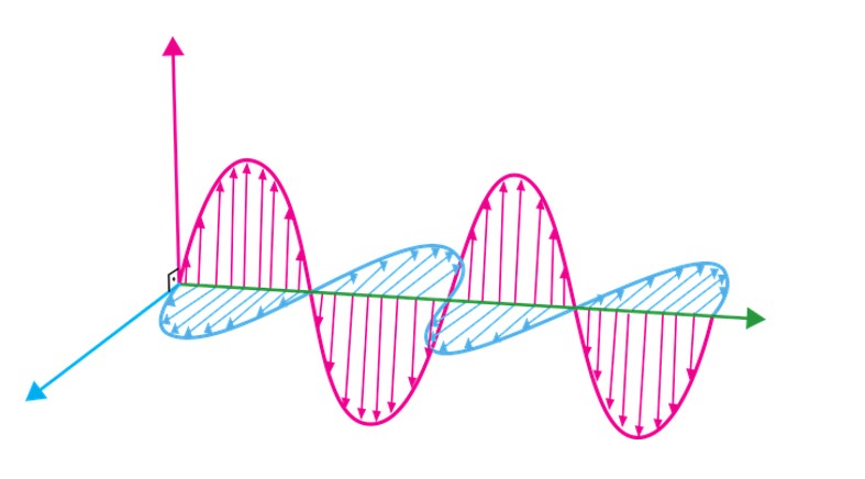 radiant energy to chemical energy