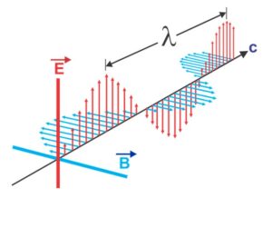 how transverse waves travel


