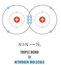 Is Hydrogen Bond Stronger Than Covalent: Why, How and Detailed Facts ...