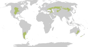 1200px Biome map 08.svg