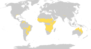 1920px Biome map 07.svg