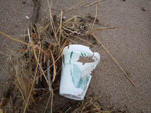 800px Physical weathering styrofoam cup Lake MIchigan