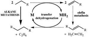 AlkaneMetathesisTandemSystem