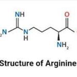 arginine amino acid structure