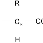 alpha amino acid structure