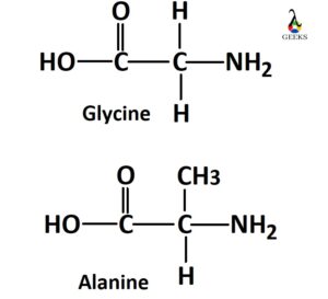 Glycine Alanine