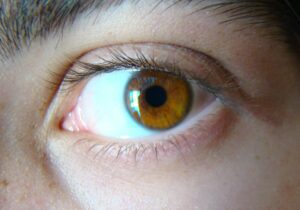 Light brown eye