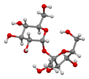 Sucrose from xtal 3D bs 17