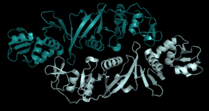 Thermoplasma