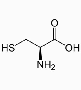 cysteine structure