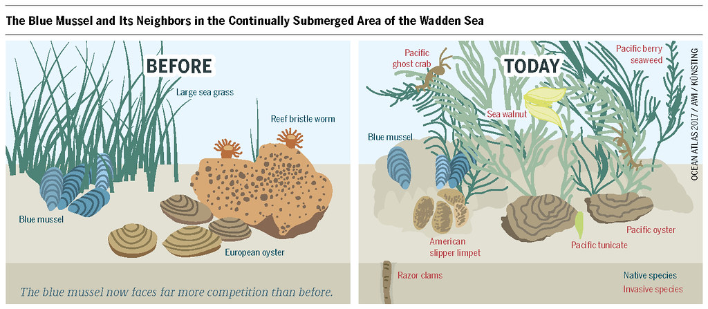 closed ecosystem experiment