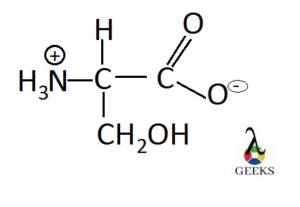 serine amino acid structure