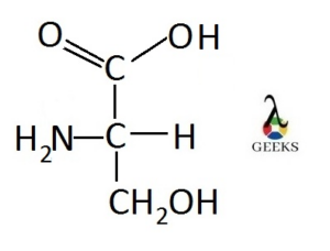 serine amino acid structure